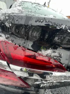 22756313 BUICK Driver Left Tail Light Lid Regal