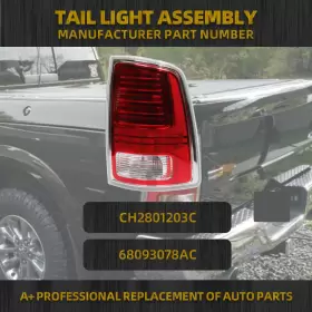 CH2801203 DASBECAN Rear Right Passenger Tail Light Bulbs 1500 #3