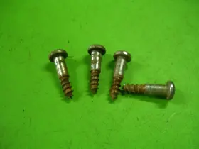 D200 DODGE Sweptline Front Turn Lamp Light Screws D100 Park