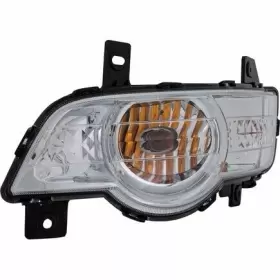 889521017830 EAGLE EYE Front Driver Parking Light Eyes