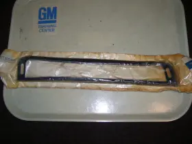 25514995 GM Nos Parking Lamp Bezel Filler Buick Lesabre
