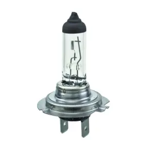 32009 HELLA Standard Halogen Light Bulb H7