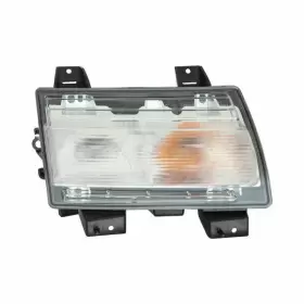 CH2521149C Passenger Turn Signal Parking Light Capa