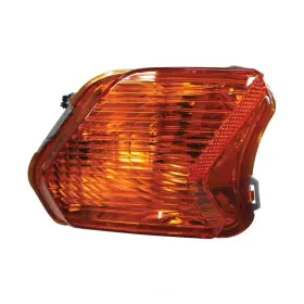 FO2521193 Parking Light