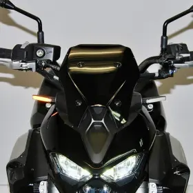 Z900-FB-24 NEW RAGE CYCLES Turn Signal