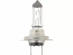 95537WDYX PHILIPS Cornering Light Bulb 3500 Freightliner