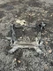 2017 VOLVO S60 FRONT SUBFRAME CROSSMEMBER CRADLE OEM 12 13 14 15 16 17 18