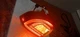 2017-19 KIA NIRO DRIVER LEFT REAR LED TAILLIGHT OUTER BRAKE LAMP OEM TESTED