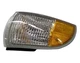 Genuine GM Side/Corner Lamp 05976558