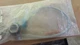 NOS OEM GM 2001 2005 VENTURE MONTANA SILHOUETTE LAMP SOCKET GM # 12166325