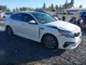WHT DECKLID W/CAM W/LIGHTS OEM 19-20 KIA OPTIMAKIA