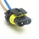 For 2000-2001 Toyota Camry Low Beam Headlights Connector Pigtail - 81150-AA020