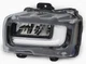 OEM Left Driver Side LED Fog Lamp For Ford F150 RL3Z-15201-A