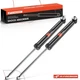 A-Premium Rear Shock Absorbers for Audi A6 2006-2011 A6 Quattro 05-11 S6 07-08