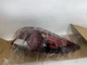 2019-2020 HYUNDAI ELANTRA RIGHT OUTER TAILLIGHT HALOGEN OEM 92402-F3500 