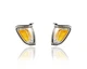 Cornering Light For TO2521161; 01-04 Toyota Tacoma Park LH + RH Chrome CAPA