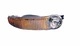 Depo Parking Light Assembly for GMC 335-1602R-US