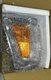 DORMAN 1630685 Turn Signal Parking Light Front Right-92-95 Toyota Pickup