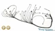 Wiring Specialties Pro Engine Tranny Harness for R33 RB25DET RB25 to 300ZX Z32