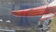 19 20 HYUNDAI ELANTRA Tail Light Assembly Right Lid Mounted Incandescent Lamps