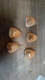 Set of 5 Exterior Cab Lights from 2000 Ford F350SD 8268707