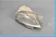 07-09 Lexus LS460 Front Right Passenger Side Bumper Fog Light Lamp Assembly OEM