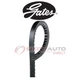 Gates Power Steering Drive Belt for 1955-1961 Ford Fairlane 5.8L 6.4L 5.1L di