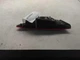 Used Right Tail Light Assembly fits: 2020 Hyundai Elantra Sedan lid mounted inca
