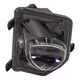 For 2016-2020 RX350 Corner Light Front, Right Clear Plastic LX2541102 8136048130