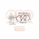 IAP QUALITY PARTS Elastic Band Kit 102-17088 for Toyota