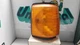 1987 Ford Truck Passenger Turning Signal Light 