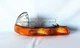 TYC Turn Signal / Parking Light Assembly for Dakota, Durango 12-5005-90