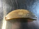 OEM 1955 Chevrolet Belair Parking  Light Lens Amber F1-55