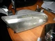 97-99 Toyota Camry Right Passenger Headlight Lamp