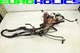 BMW Z3 99-00 2.5 2.8L Automatic Transmission AT Wiring Harness Loom 12511438518