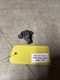 2011‑2016 FORD F‑150 F-250 F-350 Front Door Sensor OEM BL34-14C676-AA