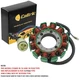 Stator for Honda TRX300 Fourtrax 300 1988 1989 1990 **12 Pol**