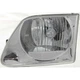 DEPO Headlight For 2001-2003 Ford F-150 w/ Lightning Left Driver Side FO2502182