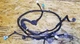2011 Honda CR-Z Front Door Wire Harness Driver Side Left OEM