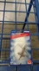 Wagner / GE / NAPA Lighting BP2470H1  BULB 2470H1