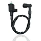IGNITION COIL FOR HONDA CH80 CH 80 ELITE SCOOTER 1985 1986 1987 1988 1989 1990 