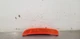 24 DODGE CHARGER SIDE MARKER LIGHT LAMP FRONT RIGHT PASSENGER 68214404AA