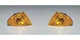 Indicator Pair Front For BMW E46 63126904300 63126904299 MAGNETI MARELLI