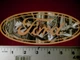 Camo Ford window sticker decal F150 F250 F350 Mustang Torino IMCA USRA NHRA