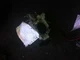 95 96 97 98 99 NISSAN MAXIMA THROTTLE BODY VALVE ASSEMBLY MANUAL