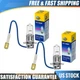 2pcs Hella H3 100W Driving/ Fog Light Bulb H3 Halogen White 100 Watt/ 12 Volt-LB