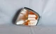 Parking Light-Regular TYC 18-5924-00