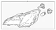 Genuine Ford Fog Lamp Assembly GN1Z-13200-AE