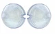 United Pacific Clear Plastic Parking Light Lens Set 1951-1953 GMC Pickup Trucks