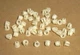 50 Park Turn Signal Housing Grommets Ford Truck 1997-2011 N811169-S W705550S300